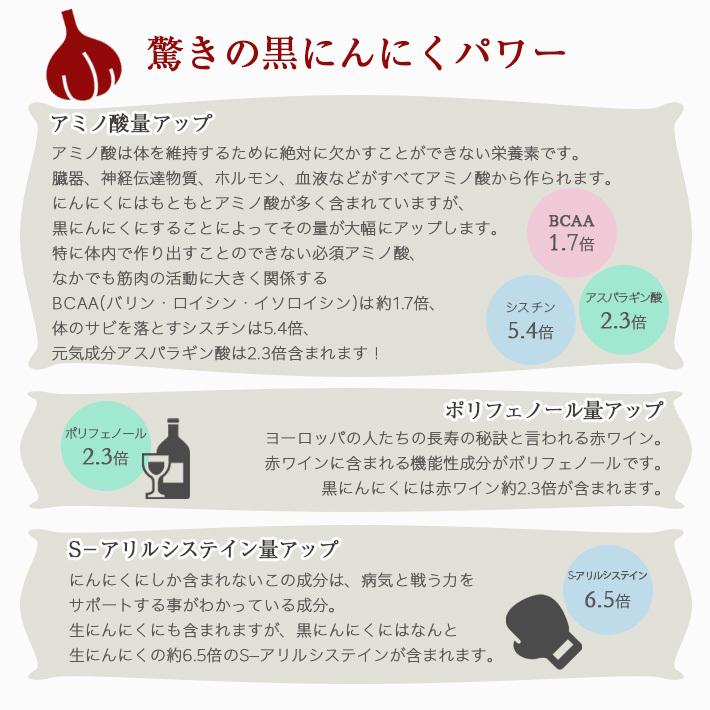 熟成 黒にんにく 90g アミノ酸たっぷりのパワーフード 国産にんにく使用