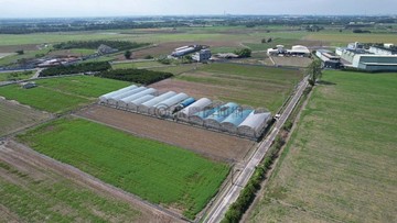 萬丹瓜瓜棚農地|地行方正|生活便利|近交流道｜屏東縣萬丹鄉新全段