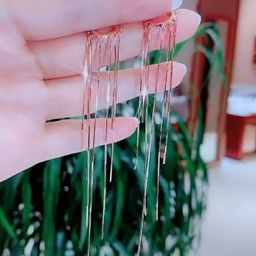 網紅同款耳環2025新款潮長款氣質高級感耳墜仙氣森系顯瘦流蘇耳線