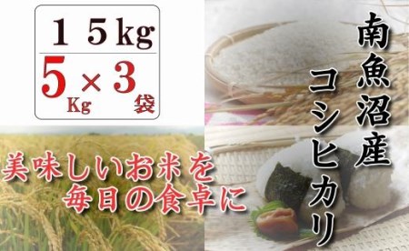 令和５年産新米　南魚沼産コシヒカリ「八龍の尾」15kg(5kg×3)