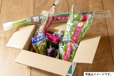 季節の京野菜セット