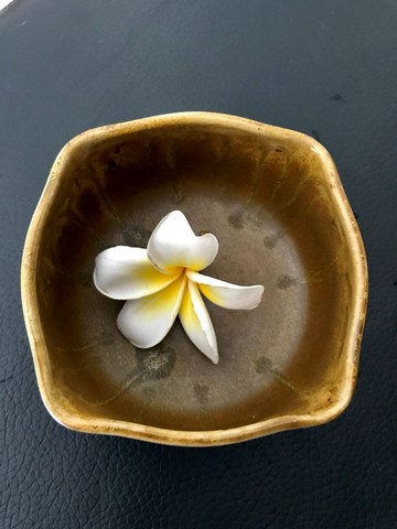 金黃彩亮面陶燒釉碗 餐碗 餐具 湯碗 茶碗 餐碗 餐盤 前菜碗