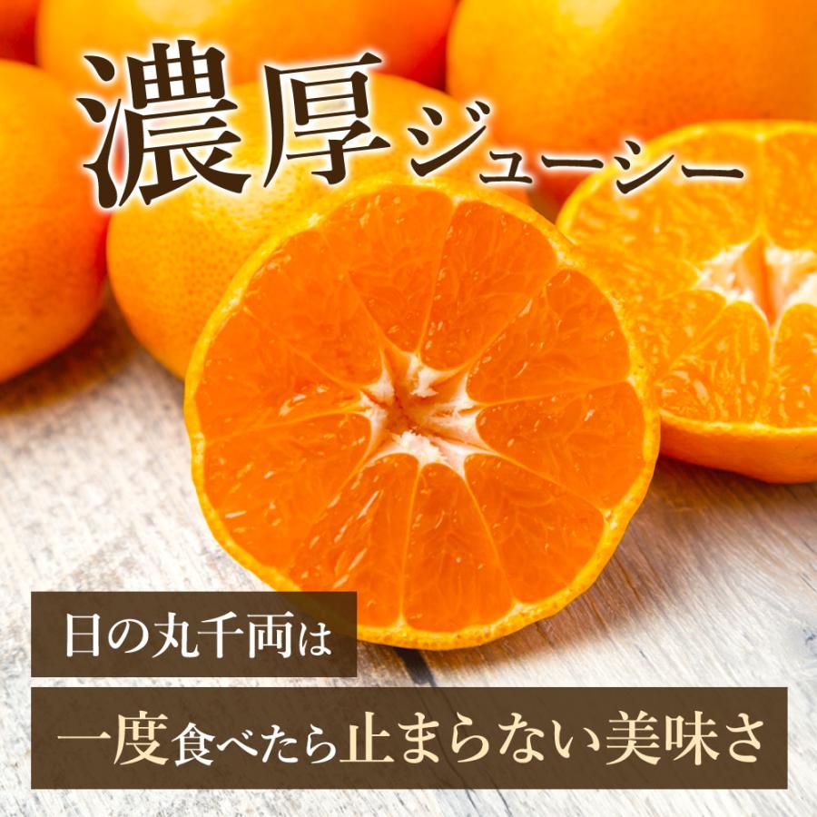 ご希望の着日にお届けします みかん 愛媛 西宇和 期日指定便2S〜Lサイズ 年末 ギフト 温州みかん 贈答品