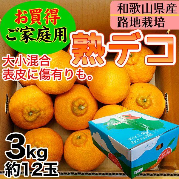 ご予約開始 ご家庭用 不知火（デコポン）露地栽培の樹上完熟デコポン「熟デコ」和歌山県産（送料無料）サイズ不揃い、多少の傷有り 3kg（約12玉）　(fy4)