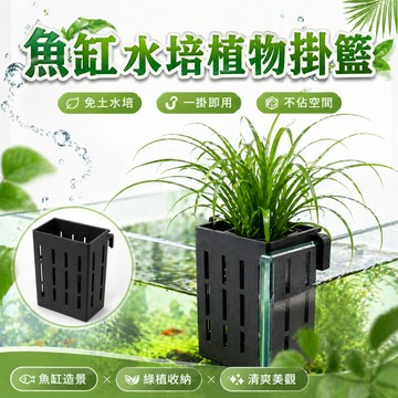【台灣出貨】綠植掛籃｜水培植物掛籃｜魚缸掛籃｜植物掛籃｜室內綠植掛籃