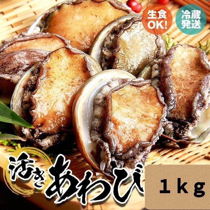 活 蝦夷 あわび 20 30 1kg (約 40 枚) アワビ 鮑 BBQ キャンプ お徳用 高級 美味しい 送料無料