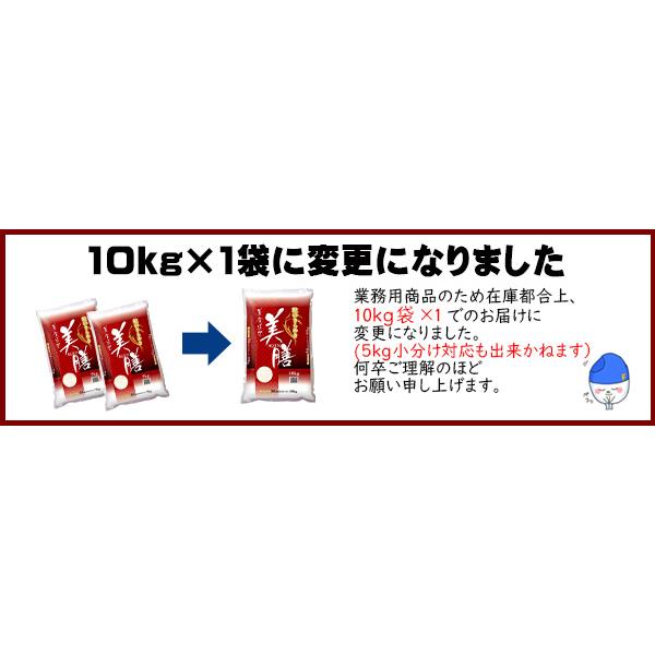 米 無洗米 10kg 10kg×1袋 送料無料 美膳 お米 国内産 白米