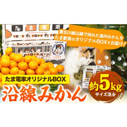 ふるさと納税 和歌山県 紀の川市 沿線みかん 約5kg 和歌山電鐵株式会社《10月下旬-2024年1月上旬頃より発送予定》和歌山県 紀の川市 フルーツ 果物 みかん 柑…