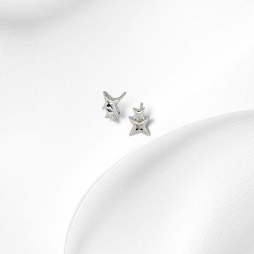 925純銀 | 動人光芒_耳環