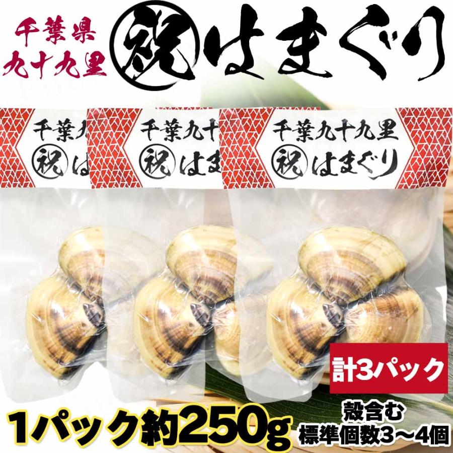 千葉九十九里 祝はまぐり 約250g(殻含む) 標準個数3〜4 計３パック 特産品