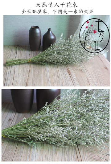 卡蘿琳 自然干燥鮮花家居裝飾插花藝術干花干草情人草滿天星1入
