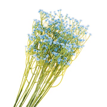 【dayneeds】仿真花藝-滿天星(8色可選)(5支/入)淺藍色