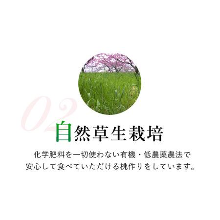 ふるさと納税 ＜2024年先行予約＞特大桃 5〜6個入り 約2.0kg 山梨一宮産の桃 朝採り 産地直送  088-001 山梨県笛吹市