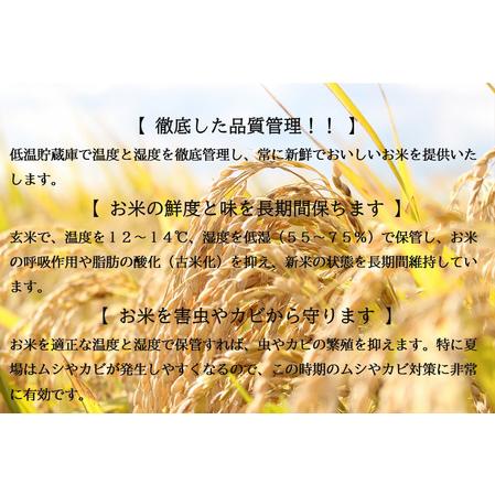 ふるさと納税 はえぬき20kg（5kg×4袋）令和5年産 山形県舟形町