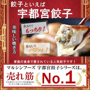 本場！ 選べる宇都宮餃子（肉餃子） 真岡市 栃木県 送料無料