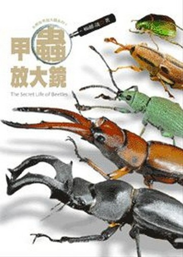 甲蟲放大鏡【二手書_良好】TAAZE讀冊生活