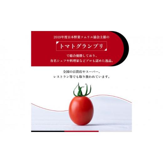 ふるさと納税 千葉県 千葉市 OSMIC トマト トマトグランプリ優勝 mini Premium 500g ミニトマト[No.5346-0011]