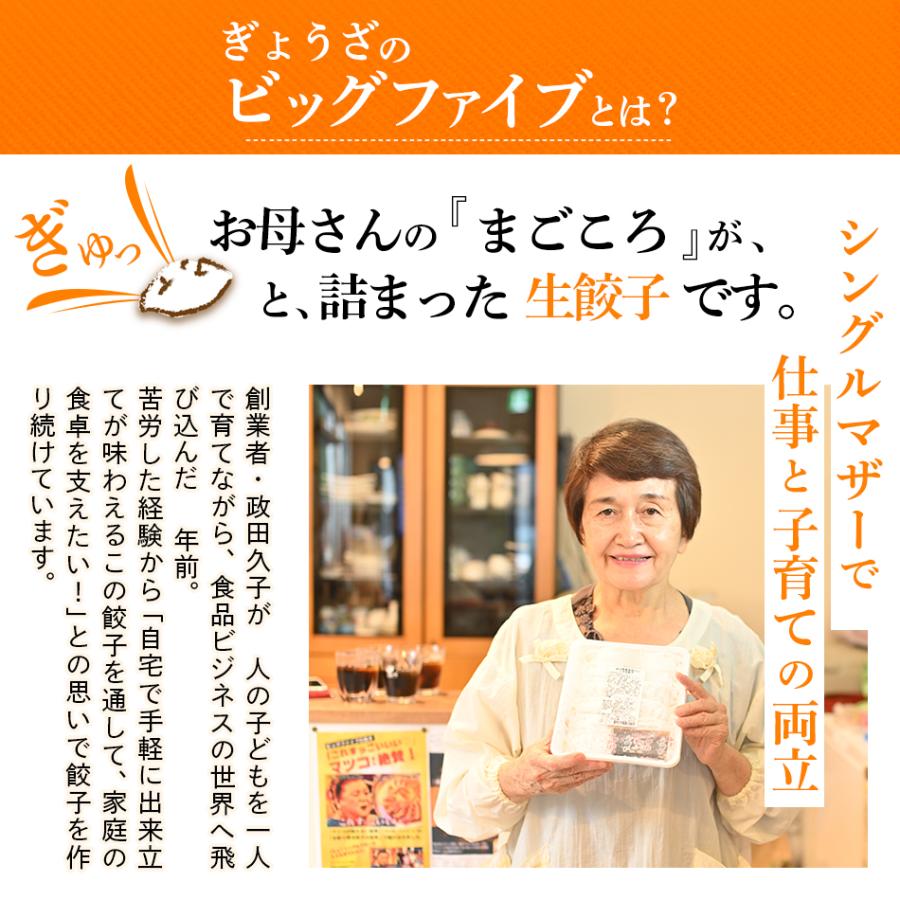 餃子 ぎょうざ 冷凍 鹿児島 ビッグファイブ 黒豚 豚肉 送料無料 生餃子 無添加 