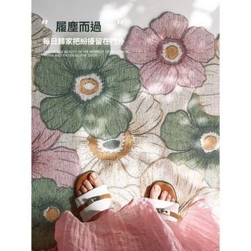 【台灣出貨 可客制化】入戶門地墊耐髒防滑門口簡約現代新款絲圈PVC免洗室內外家用腳墊房間地墊 茶幾地毯