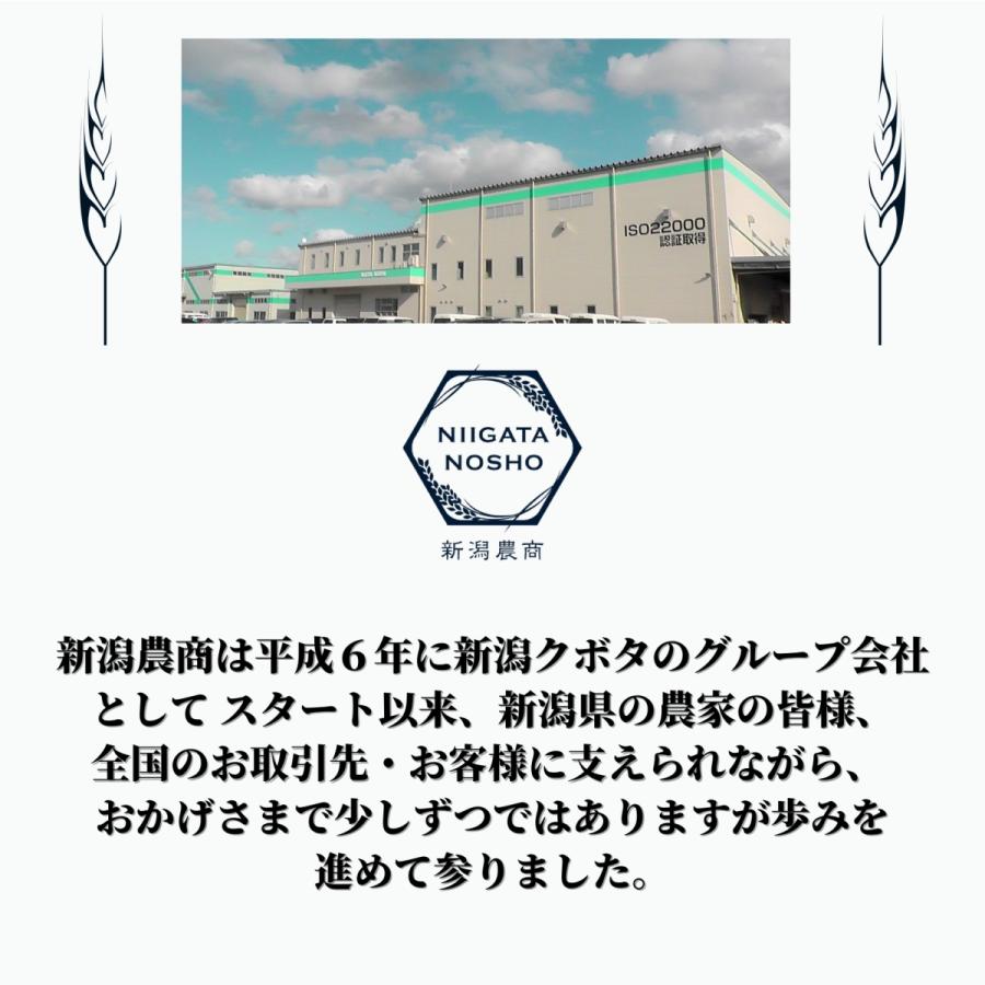 新米 令和５年産 米 お米 5kg 太陽熱乾燥 新潟 加治川産 コシヒカリ こしひかり 精米 贈り物