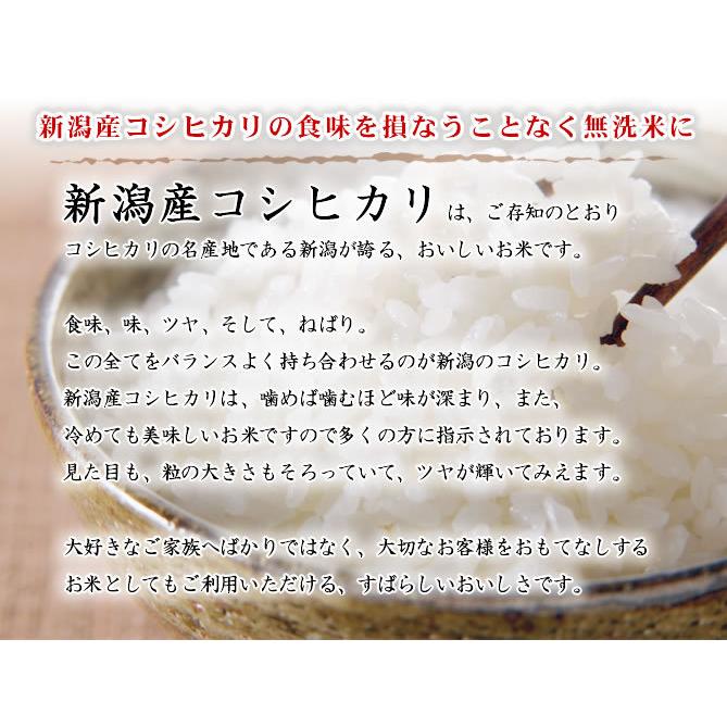 新米 令和5年産 無洗米 5kg 新潟県産コシヒカリ 吟精 送料無料 （北海道、九州、沖縄除く）