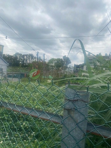 中壢都計內美農地　三面臨路、近華勛國小、交通便｜桃園市中壢區仁德段