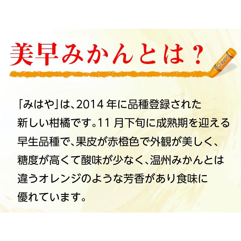 ポイント10倍 美早みかん ミカン 熊本 家庭用 秀品 3kg Mサイズ 26〜28玉前後 送料無料 産直 S常