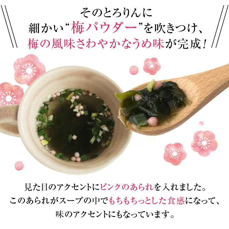 昆布 海藻 がごめ昆布 わかめ とろろ昆布入 即席 大袋 海藻スープ インスタント お得 食品 たっぷり50杯分 選べる プレーンorうめ味 とろりんスープ 200g×1袋