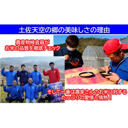 ふるさと納税 ★令和5年産★農林水産省の「つなぐ棚田遺産」に選ばれた棚田で育てられた棚田米　土佐天空の郷　ヒノヒカリ　10kg 高知県本山町