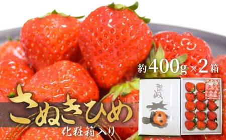 さぬきひめいちご化粧箱　2箱(各約400g)