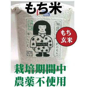 無農薬もち玄米　新米・栽培期間中農薬不使用・太ももの会の山形庄内特産「でわのもち」もち玄米1ｋｇ