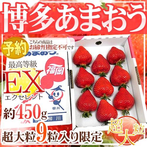 福岡産いちご ”博多あまおう” 最高等級EX（エクセレント） 1箱 超特大粒 9粒限定 約450g 送料無料