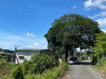 六甲區工研院旁都內農地518｜台南市六甲區六甲段