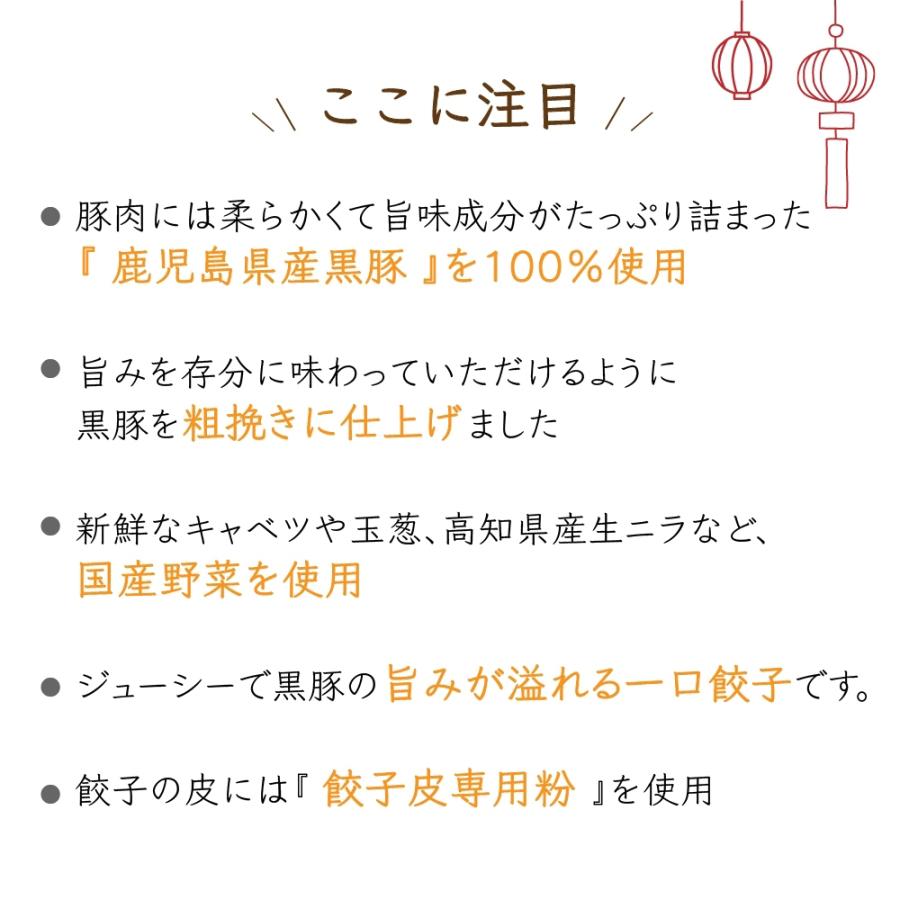 鹿児島県産　黒豚100％使用　黒豚餃子セット　10個×6袋　 醤油たれ３袋、味噌たれ３袋  2種類のタレ付き　送料無料　冷凍便