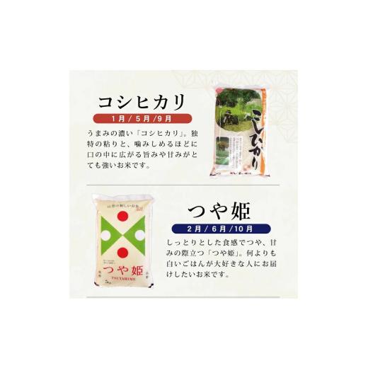 ふるさと納税 山形県 酒田市 SJ0013　庄内米 4銘柄味比べ　5kg×12回(計60kg) AB