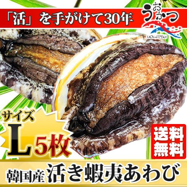 活蝦夷あわびＬ（100 110g）5枚入 お中元・お歳暮ギフトにも最適 送料無料 BBQに！