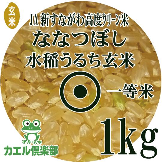 お試し玄米　令和5年産　高度クリーン米　ななつぼし 玄米 900g　北海道産　一等米　JA新すながわ　減農薬特別栽培米　メール便 送料無料