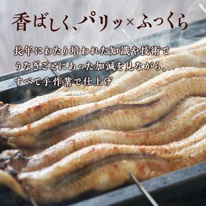 ふるさと納税 うなぎ 浜名湖 季節の焼きたて 特撰 ウナギ 白焼き 5尾 国産 鰻 浜名湖うなぎ たれ セット 白焼 惣菜 おかず ごはんのお供 魚 魚介.. 静岡県湖西市