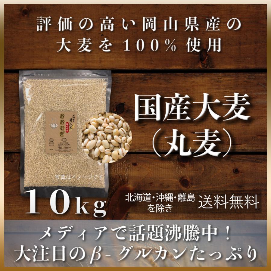 大麦(丸麦) 10kg (5kg×2袋) 雑穀 令和5年 岡山県産 もち麦の代わりに 送料無料 安い 国産