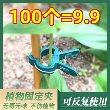 有貨在臺🚀99免運🚀植物夾園林夾子番茄黃瓜西紅柿花卉爬藤夾塑料園藝枝條支撐工具夾
