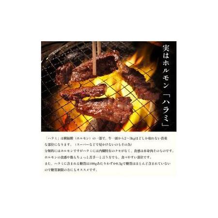 ふるさと納税 牛ハラミ 1.8kg(300g×6) 特製タレ漬け ハラミ 肉 牛 焼肉 牛肉 味付 焼き肉 BBQ 熨斗 贈答 ギフト 京都府