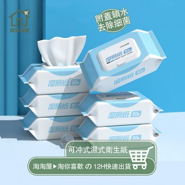 隔日到店 可沖馬桶 濕紙巾 溼紙巾 濕式衛生紙 12抽 80抽 濕廁紙 廁所濕紙巾 女性濕紙巾 成人濕紙巾 濕巾 淘淘屋