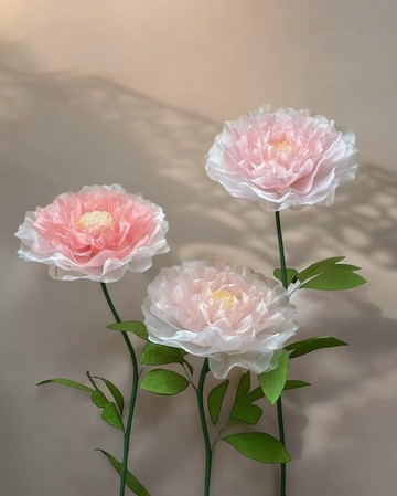 珠光紗牡丹花巨型花-高密珠光紗水光紗立地款