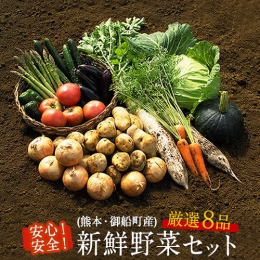 安心・安全の熊本県御船町産 厳選8品目 安心・安全の新鮮野菜セット 《30日以内に順次出荷(土日祝除く)》