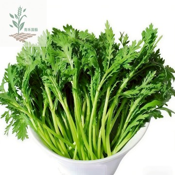 青禾園藝（ 苳蒿種子） tōng-hô 茼蒿菜種子皇帝菜種子打某菜~火鍋菜拌菜 割完又長農家高產蔬菜種子#台灣自留種