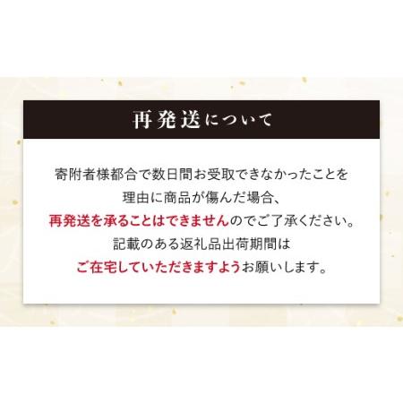 ふるさと納税 《先行予約》初夏の桃　日川白鳳２kg（7〜10玉） F20C-634 福島県伊達市