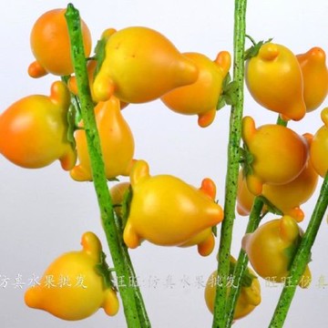 [協貿國際]   仿真五代同堂黃金果