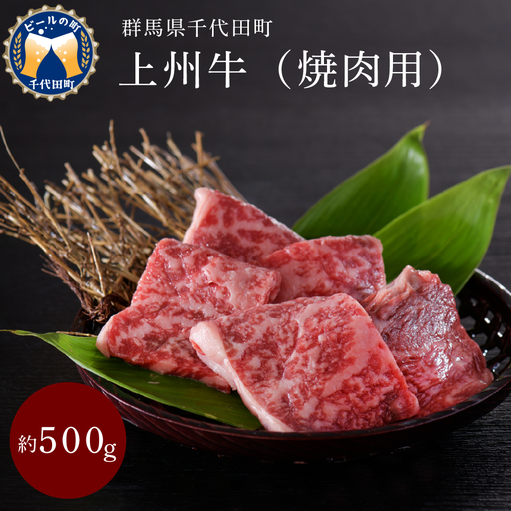 牛肉 焼肉 用  肩ロース 500g 群馬県 産 千代田町 ch003-015a003