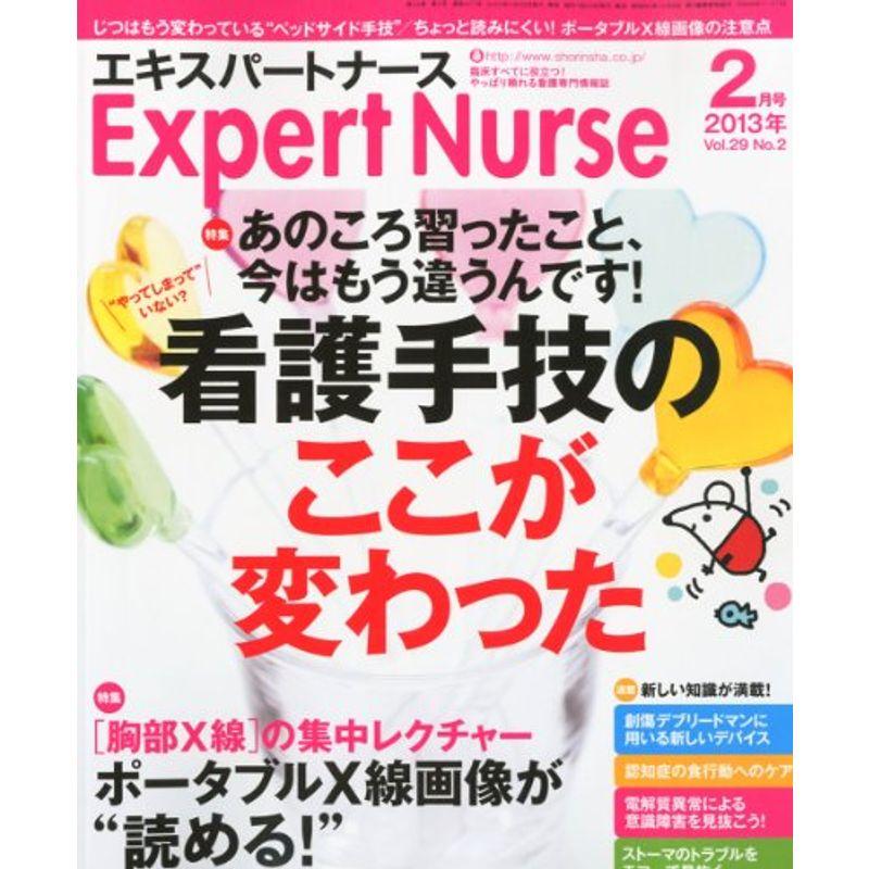 Expert Nurse (エキスパートナース) 2013年 02月号 雑誌