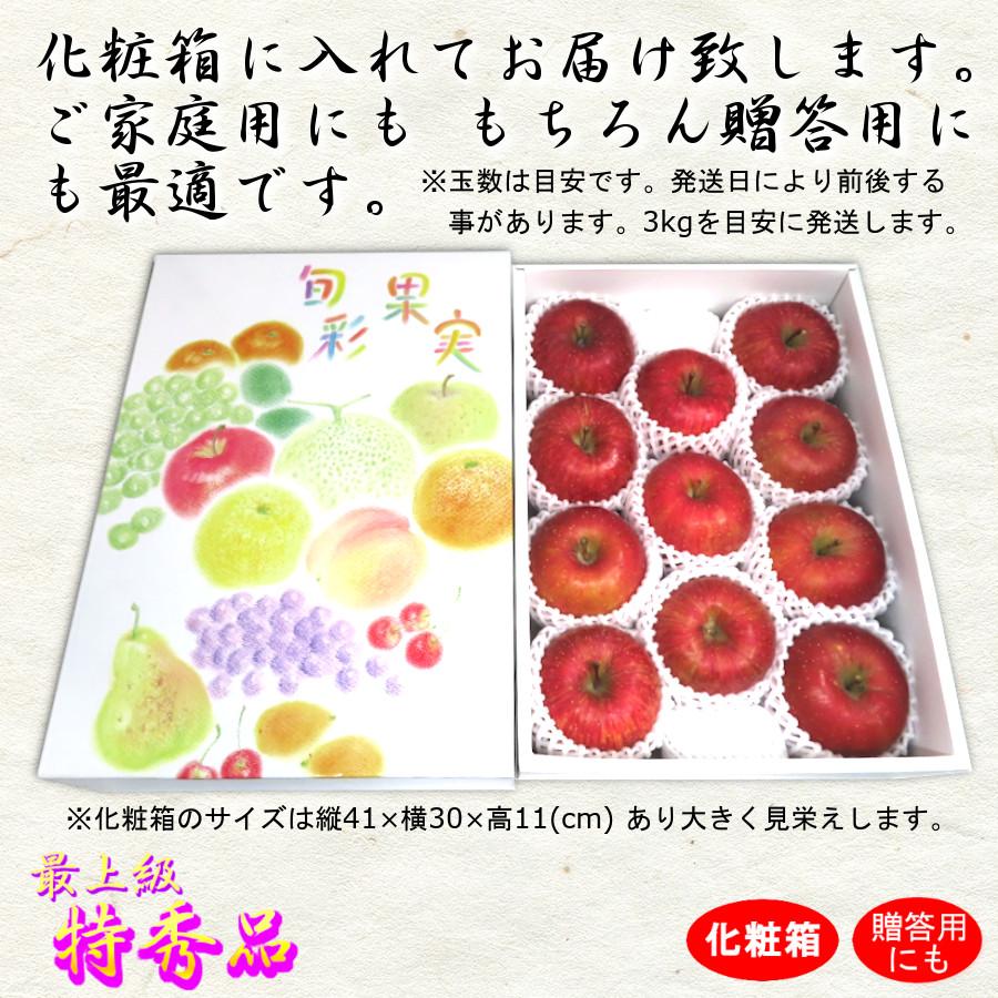 サンふじ りんご 3kg 甘い 特秀 長野県 林檎 通販 送料無料 12月 旬 果物 贈答 ギフト 大容量